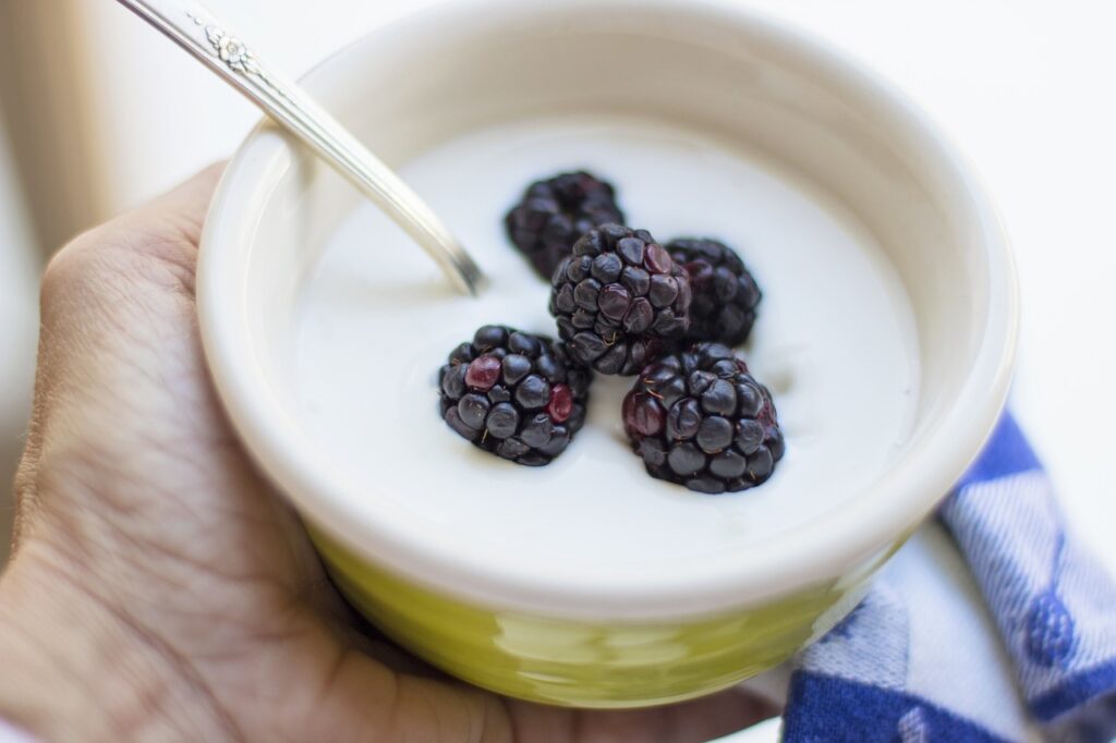 Blue Berry topping on Greek Yogurt